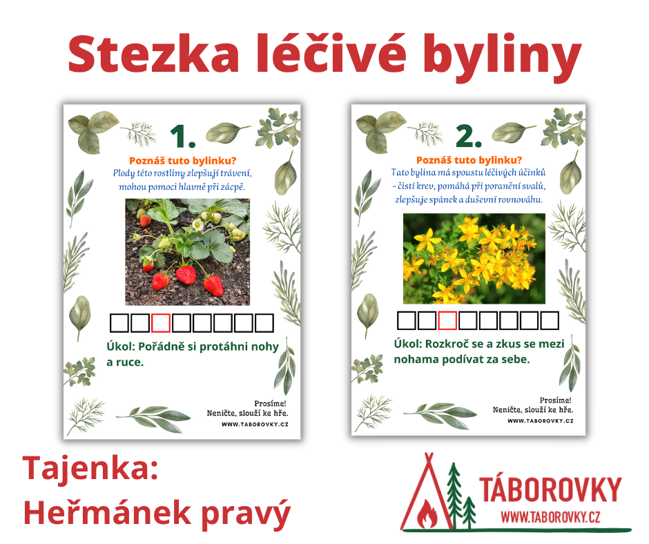 Stezka léčivé byliny pro děti 